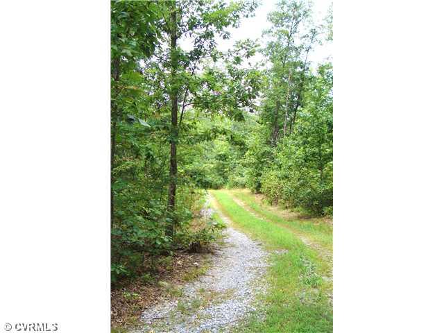 7691 South Genito Road Jetersville, VA 23083 - Photo 10 of 12 Gallery Image 10