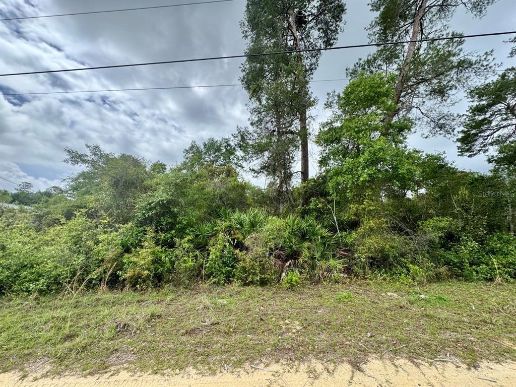 Northeast 134th Place Salt Springs, FL 32134 - Photo 1 of 7