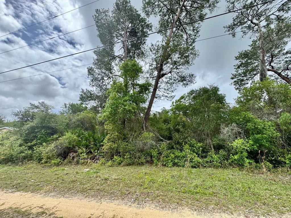 Northeast 134th Place Salt Springs, FL 32134 - Photo 2 of 7