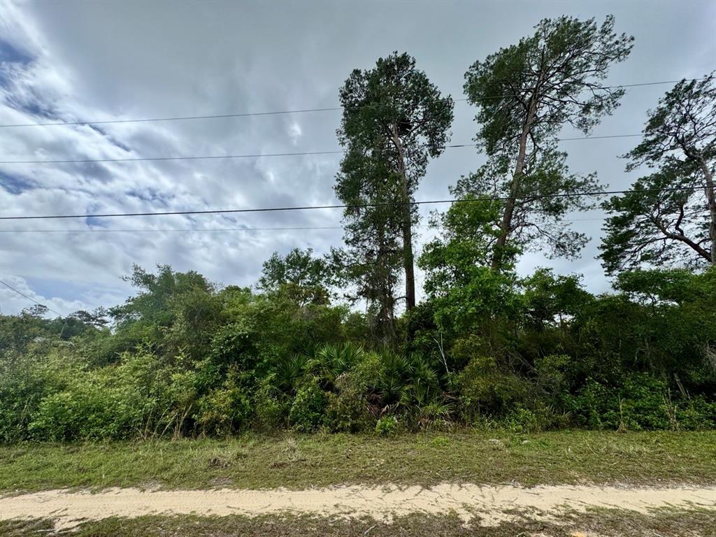 Northeast 134th Place Salt Springs, FL 32134 - Photo 3 of 7
