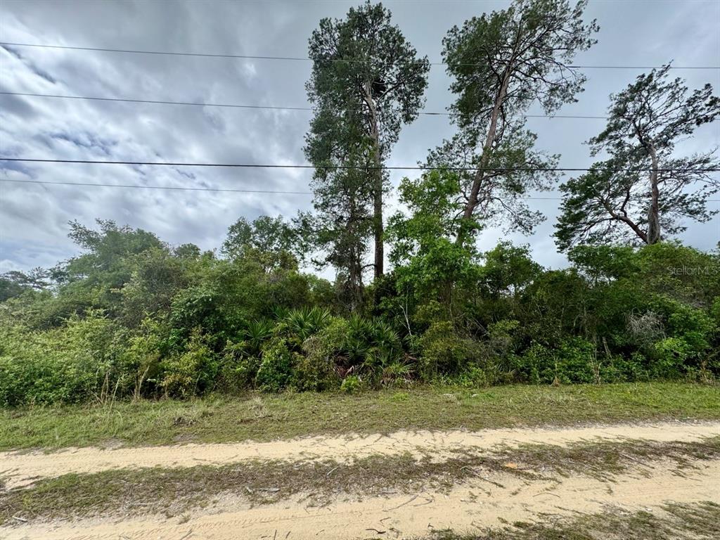 Northeast 134th Place Salt Springs, FL 32134 - Photo 4 of 7