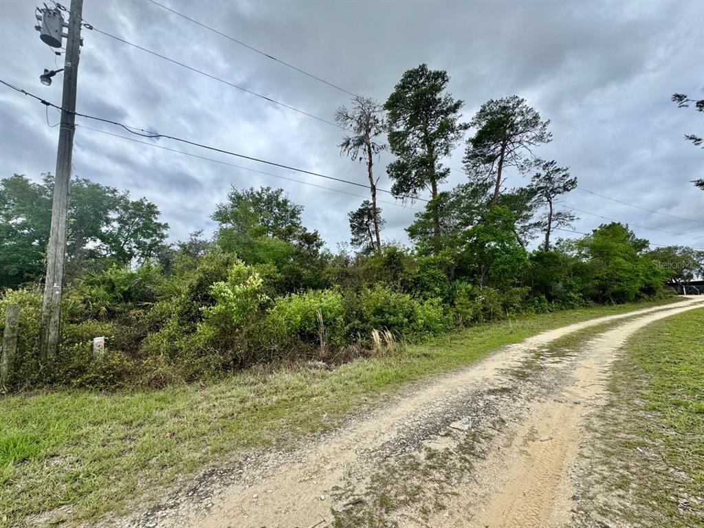 Northeast 134th Place Salt Springs, FL 32134 - Photo 5 of 7