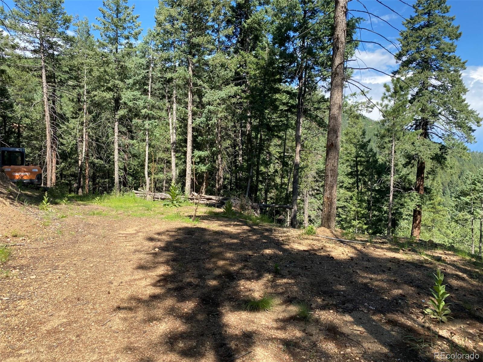 11683 South Maxwell Hill Road Littleton, CO 80127 - Photo 11 of 15