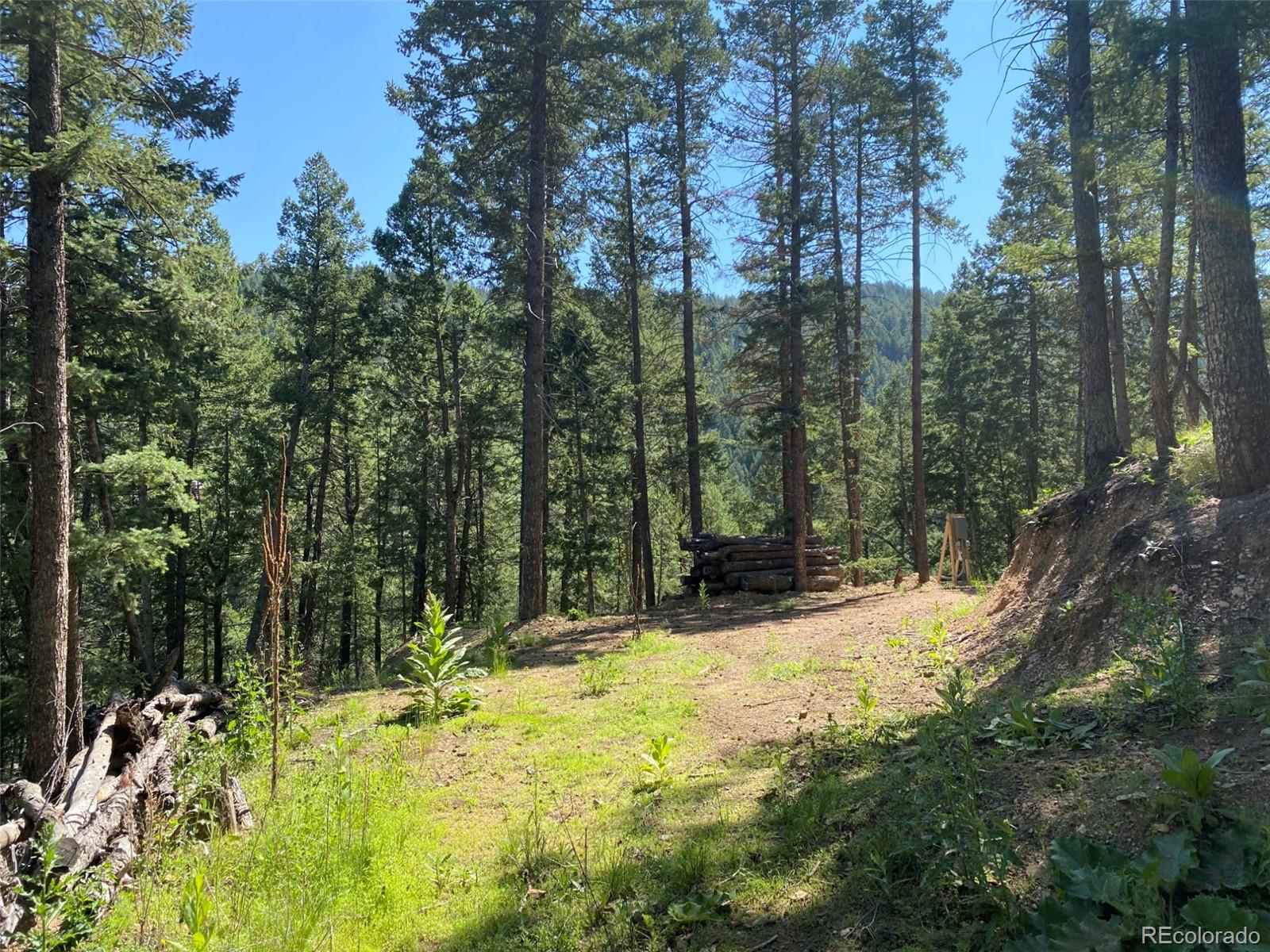 11683 South Maxwell Hill Road Littleton, CO 80127 - Photo 12 of 15
