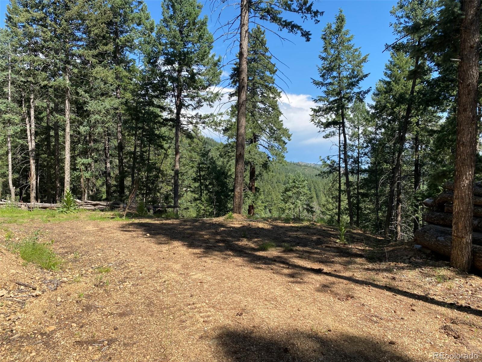 11683 South Maxwell Hill Road Littleton, CO 80127 - Photo 13 of 15