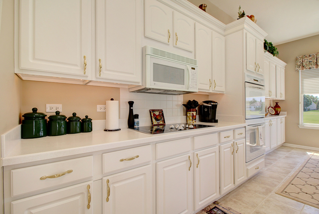 12783 Eagle Ridge Lane Huntley, IL 60142 - Photo 10 of 34