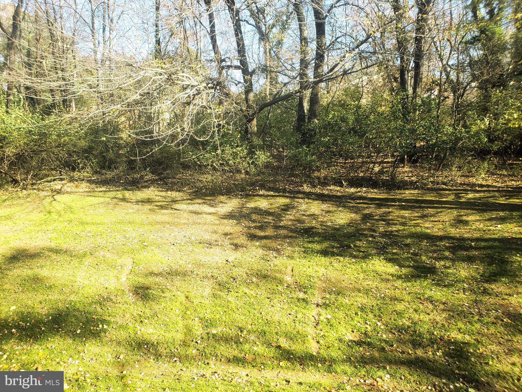 11343 Baroque Road Silver Spring, MD 20901 - Photo 3 of 43 Large rear yard faces trees