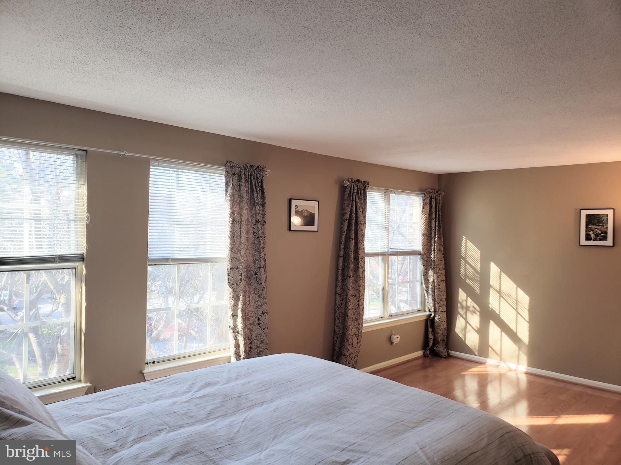 11343 Baroque Road Silver Spring, MD 20901 - Photo 32 of 43 Master Suite 1 has large floor to ceiling windows