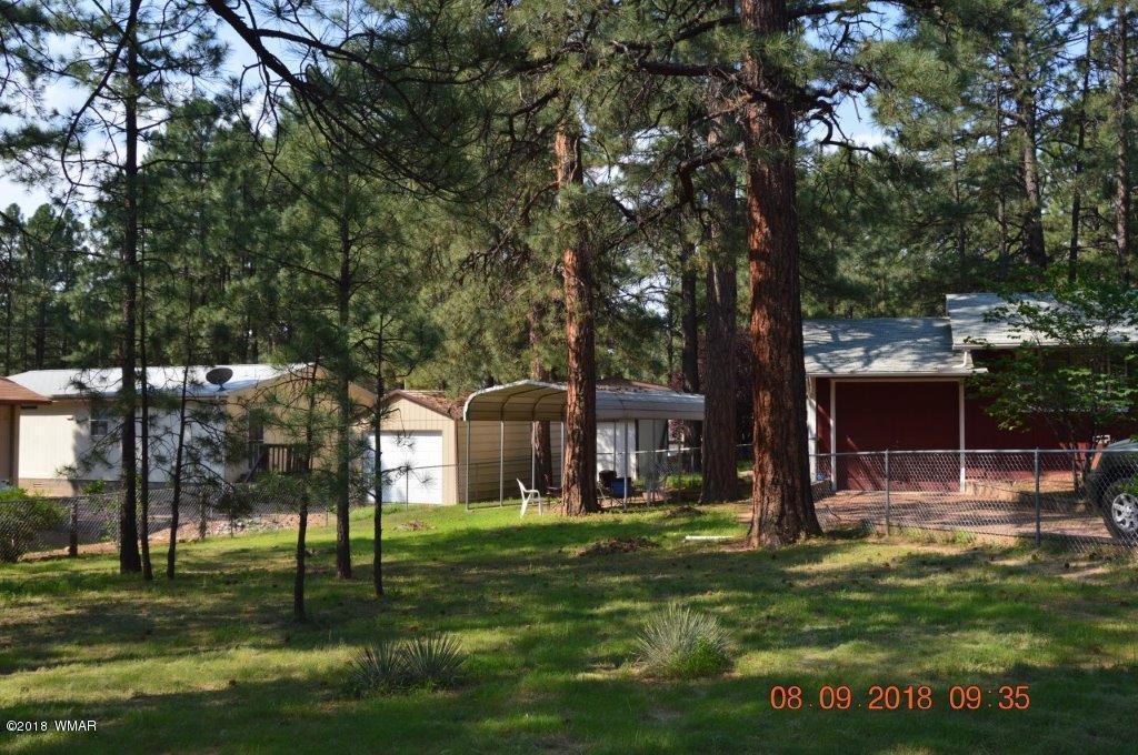 2043 Chipmunk Crossing Overgaard, AZ 85933 - Photo 12 of 29