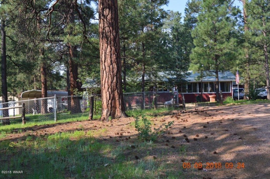 2043 Chipmunk Crossing Overgaard, AZ 85933 - Photo 2 of 29