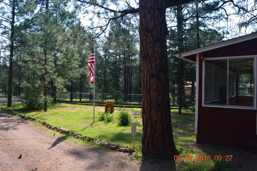 2043 Chipmunk Crossing Overgaard, AZ 85933 - Photo 4 of 29