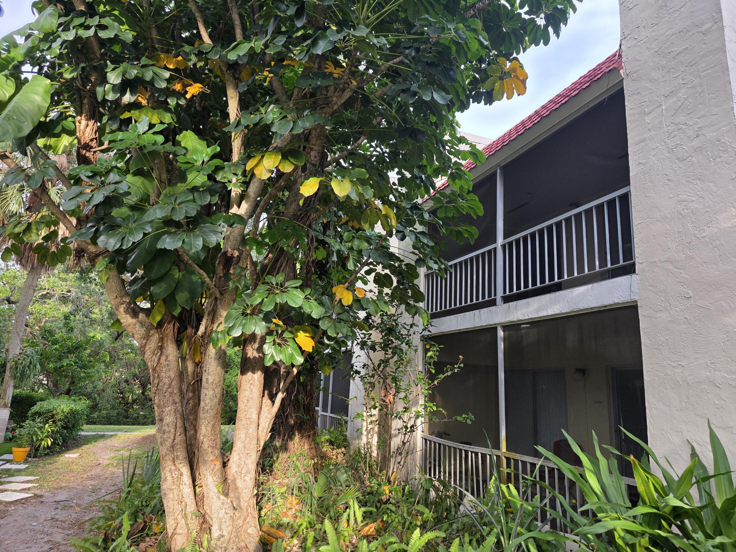 683 Northwest 13th Street, Unit 27 Boca Raton, FL 33486 - Photo 12 of 16 a view of a house with a tree