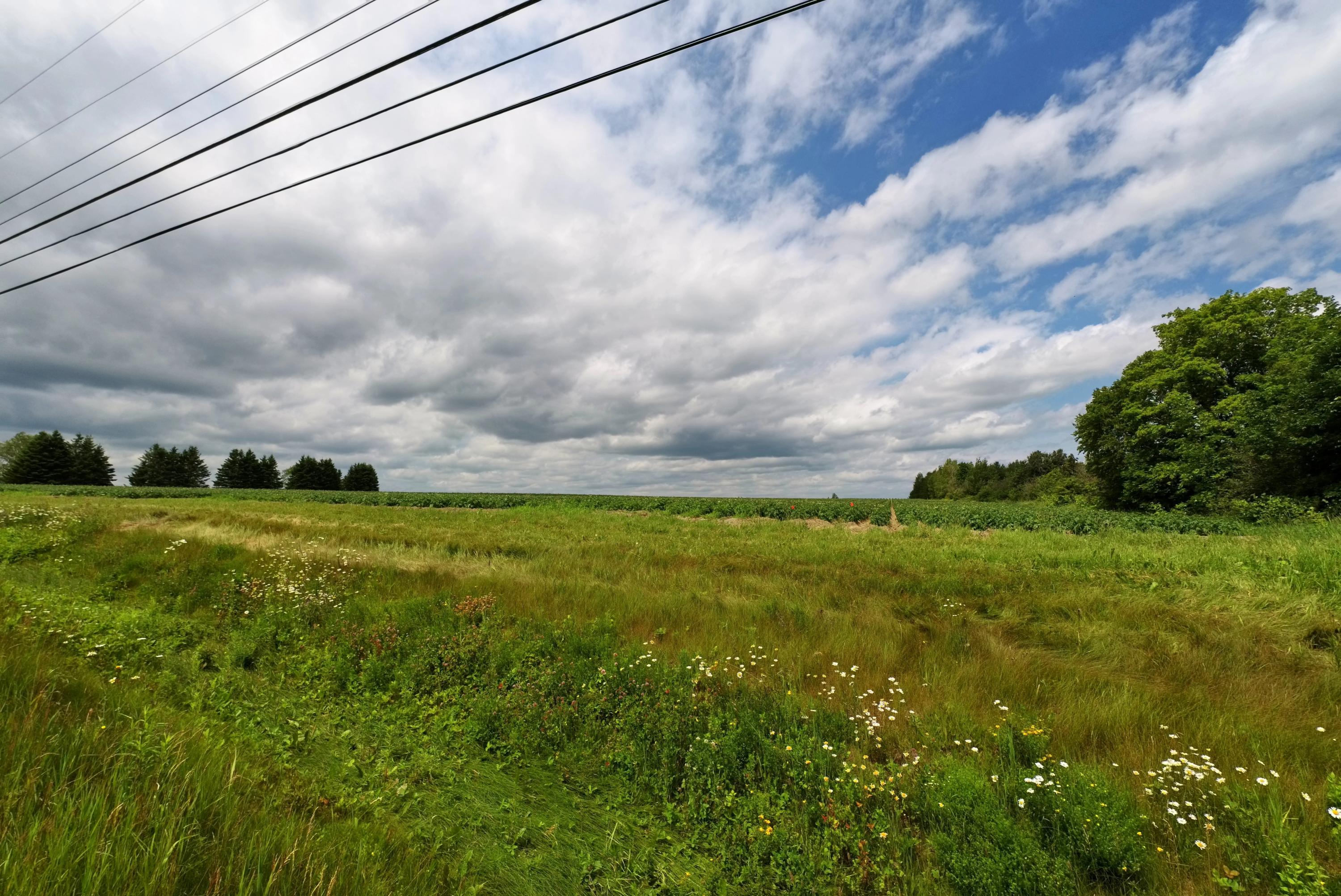 Lot 40 Carson Road Perham, ME 04766 - Photo 5 of 6 20210706_142212_977