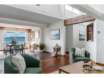 a living room with furniture a rug and a potted plant