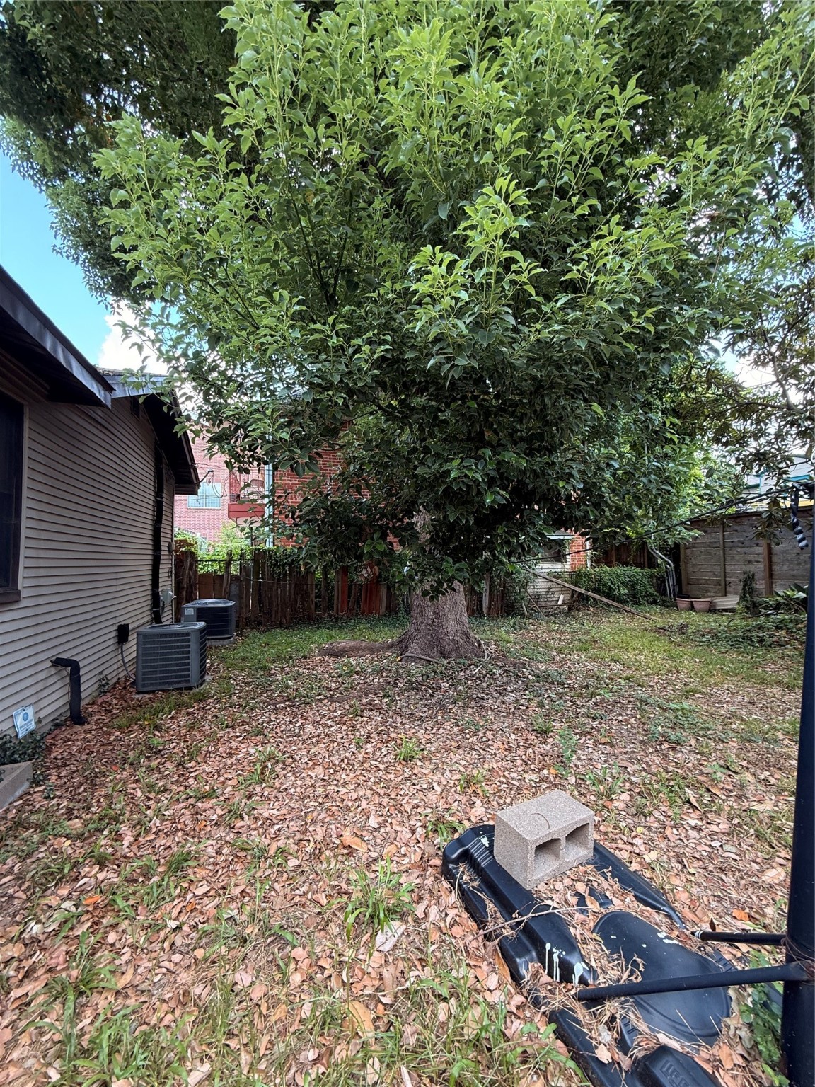 1523 Nevada Street Houston, TX 77006 - Photo 2 of 8 a backyard of a house with lots of green space