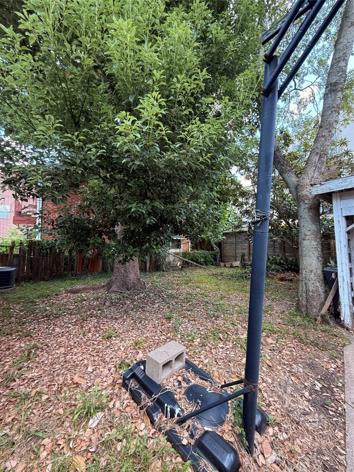 1523 Nevada Street Houston, TX 77006 - Photo 6 of 8 a view of a tree in the backyard