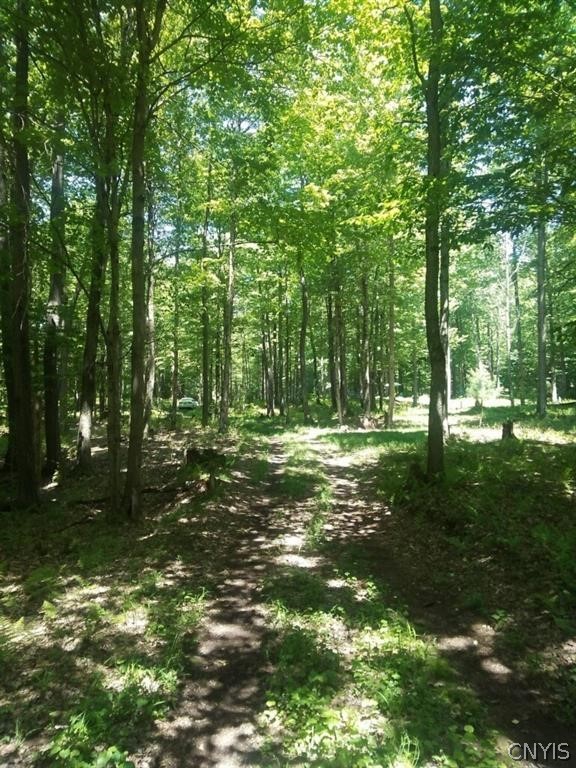 2 Tamblin Ridge Trail Bernhards Bay, NY 13028 - Photo 6 of 12