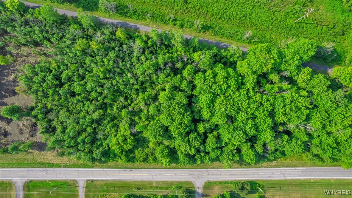 V/l Clarence Center Road Akron, NY 14001 - Photo 11 of 13