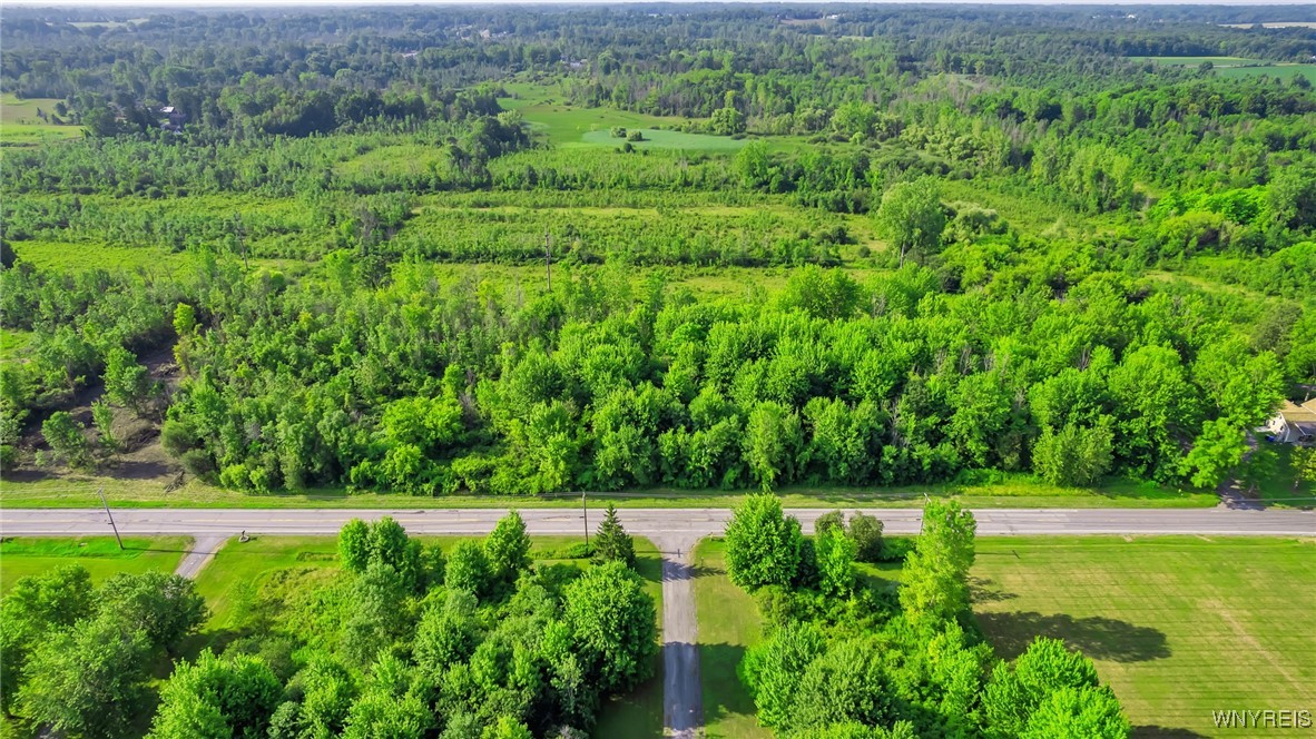 V/l Clarence Center Road Akron, NY 14001 - Photo 8 of 13