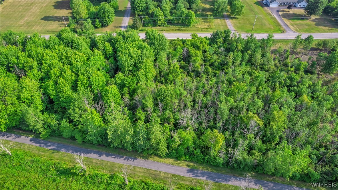 V/l Clarence Center Road Akron, NY 14001 - Photo 10 of 13