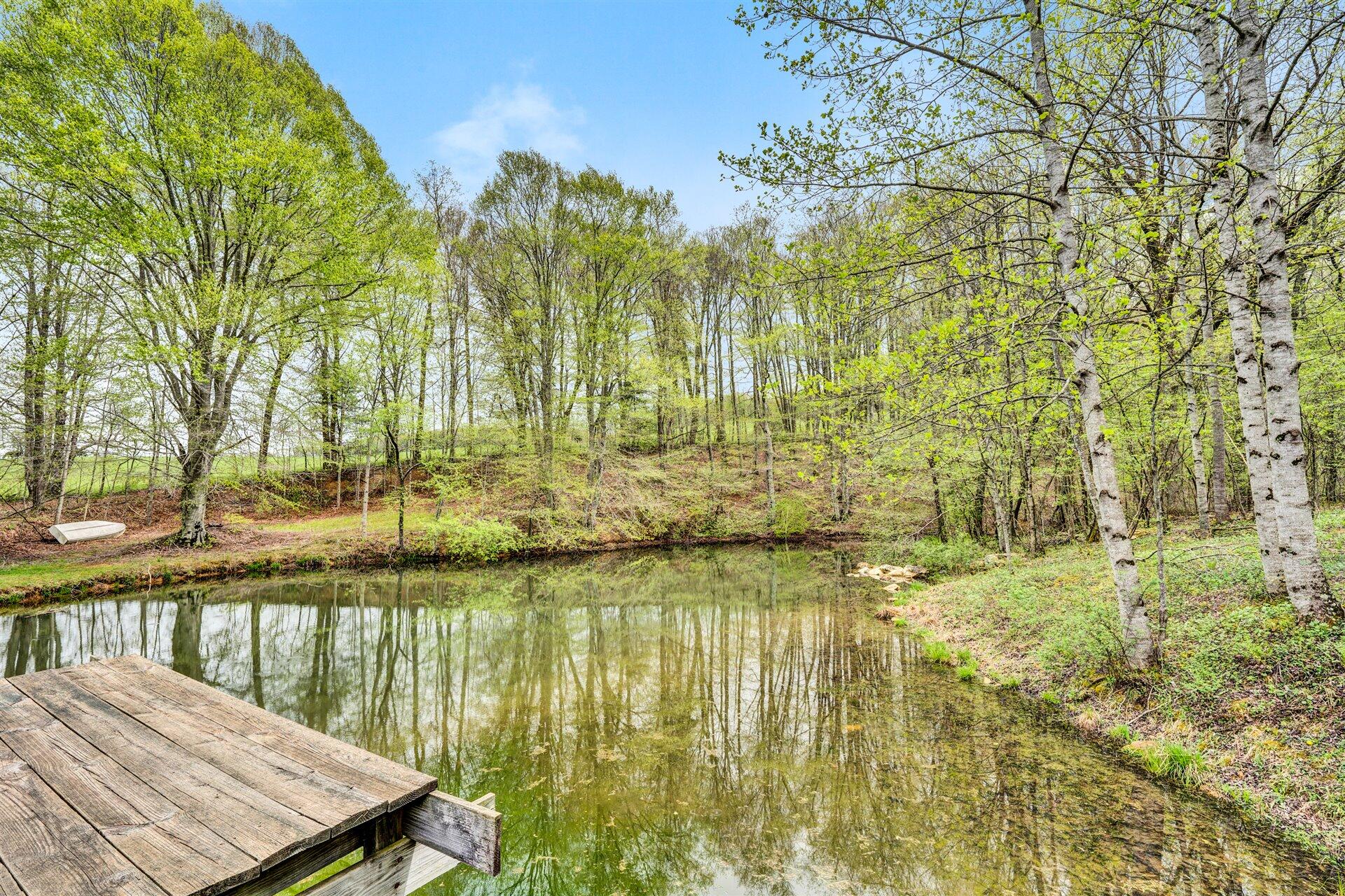 1675 Sandy Flats Road Southeast Floyd, VA 24091 - Photo 3 of 75 03-DSC00136