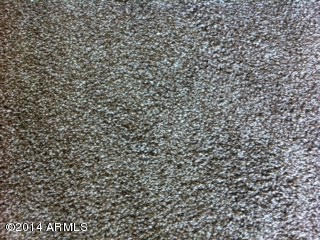 533 West Guadalupe Road, Unit 2093 Mesa, AZ 85210 - Photo 8 of 11 carpet