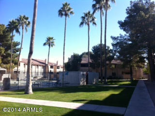 533 West Guadalupe Road, Unit 2093 Mesa, AZ 85210 - Photo 9 of 11 pool 2