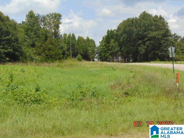 59 County Road 59 Verbena, AL 36091 - Photo 5 of 5