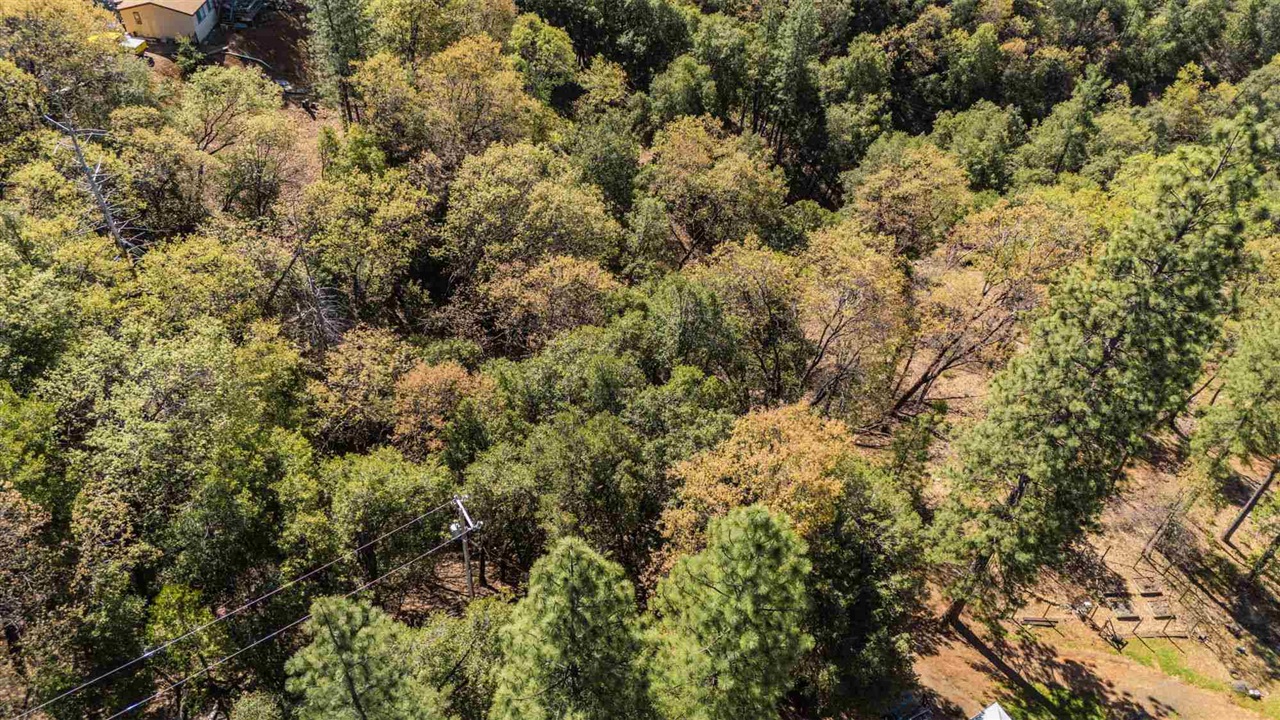 23385 Pack Trail Road Sonora, CA 95370 - Photo 2 of 11 a view of a building