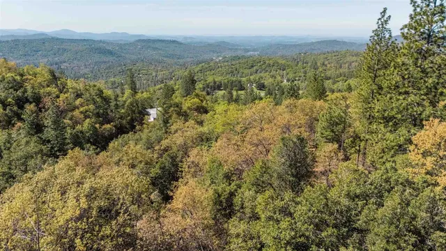 a view of a city with lush green forest