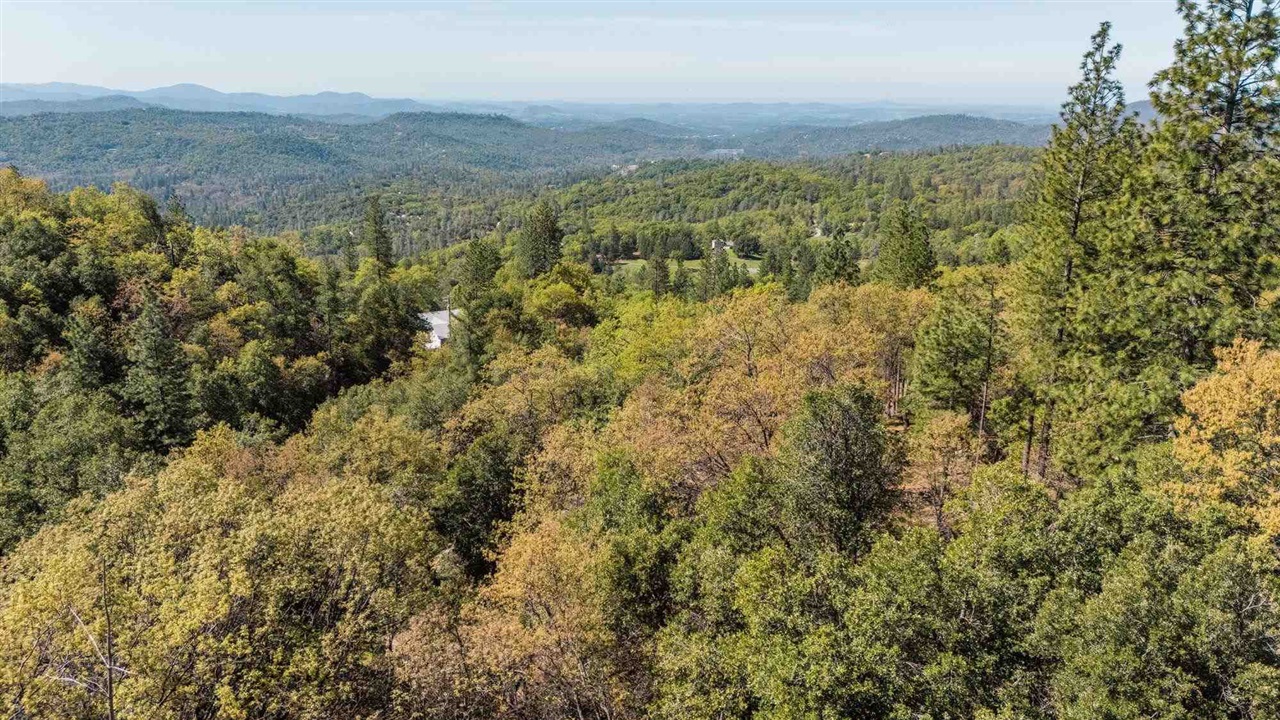 23385 Pack Trail Road Sonora, CA 95370 - Photo 3 of 11 a view of a city with lush green forest