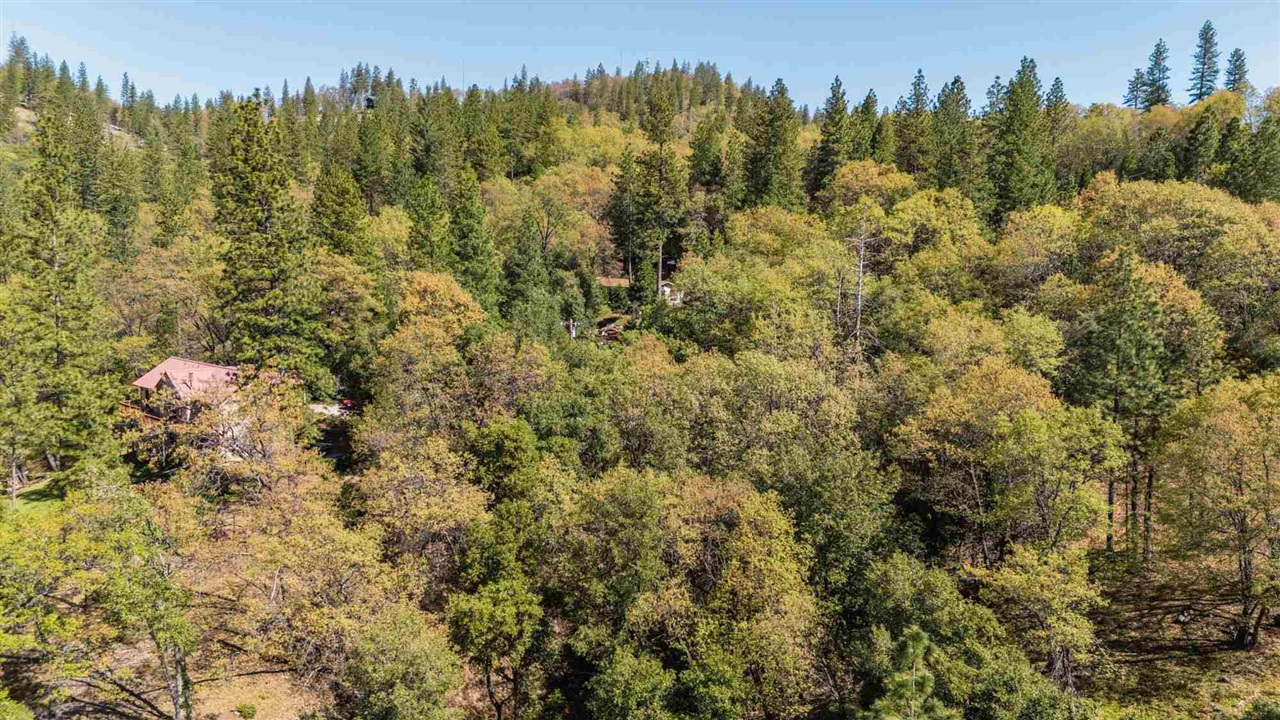 23385 Pack Trail Road Sonora, CA 95370 - Photo 4 of 11 a view of a forest with a houses