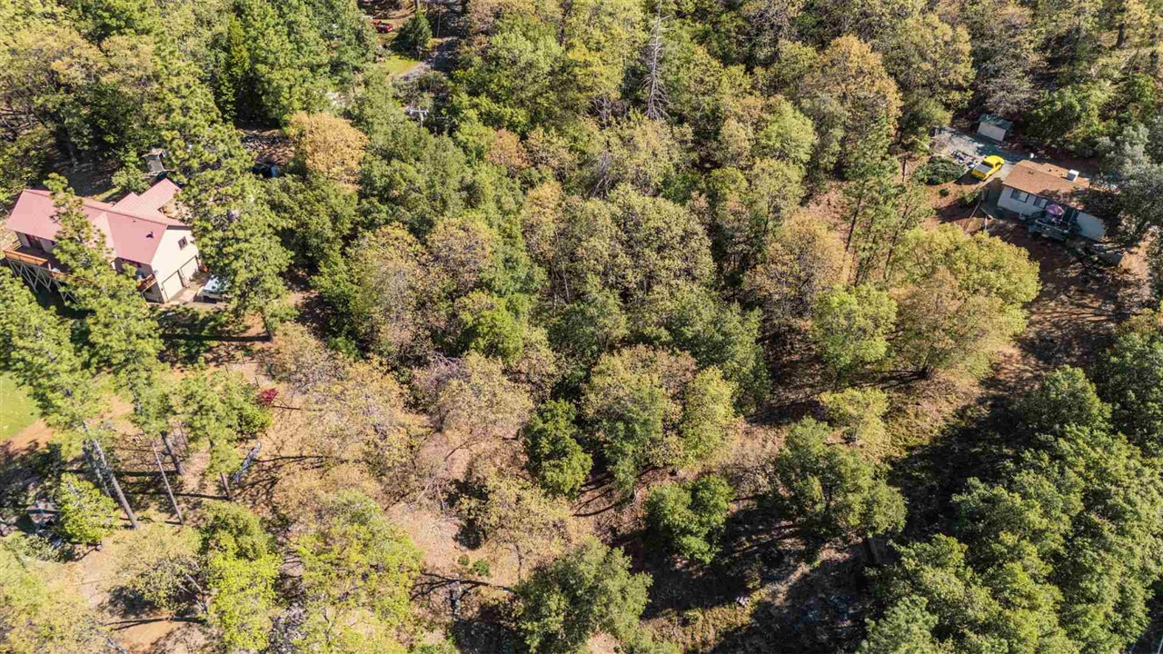 23385 Pack Trail Road Sonora, CA 95370 - Photo 5 of 11 a view of a tree