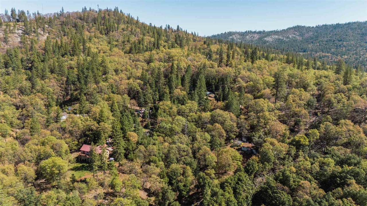 23385 Pack Trail Road Sonora, CA 95370 - Photo 7 of 11 a view of a forest with a mountain and trees in the background