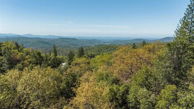 a view of a city with lush green forest