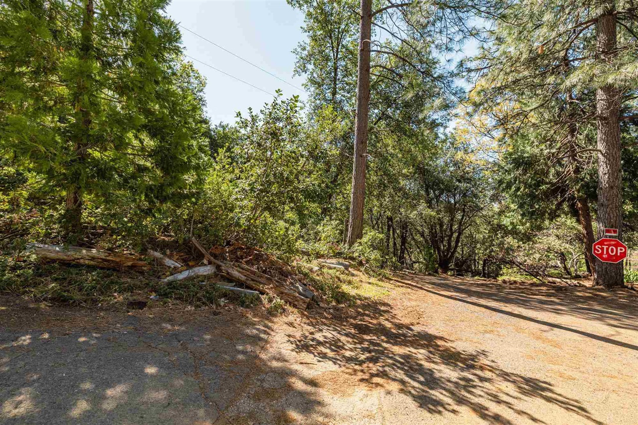 23385 Pack Trail Road Sonora, CA 95370 - Photo 9 of 11 a view of a yard with plants and trees