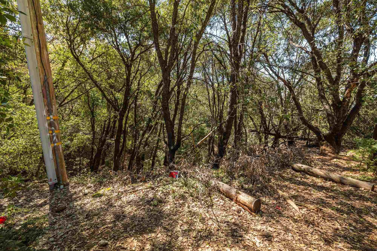 23385 Pack Trail Road Sonora, CA 95370 - Photo 10 of 11 a backyard of a house with lots of trees