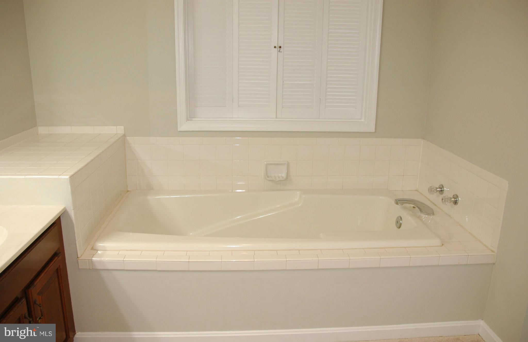 20409 Remsbury Place Gaithersburg, MD 20886 - Photo 17 of 30 Bath (Master)