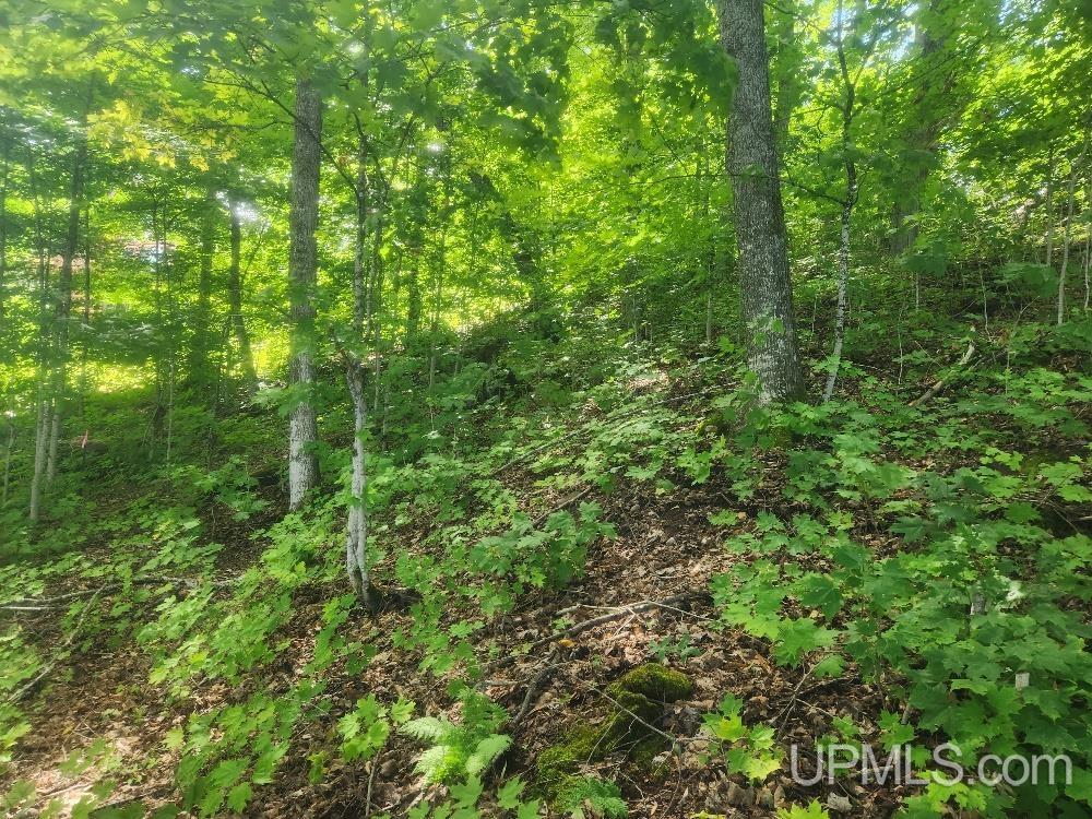 Tbd West Tamarack Lake Road, Unit LOT 5 Watersmeet, MI 49969 - Photo 42 of 66