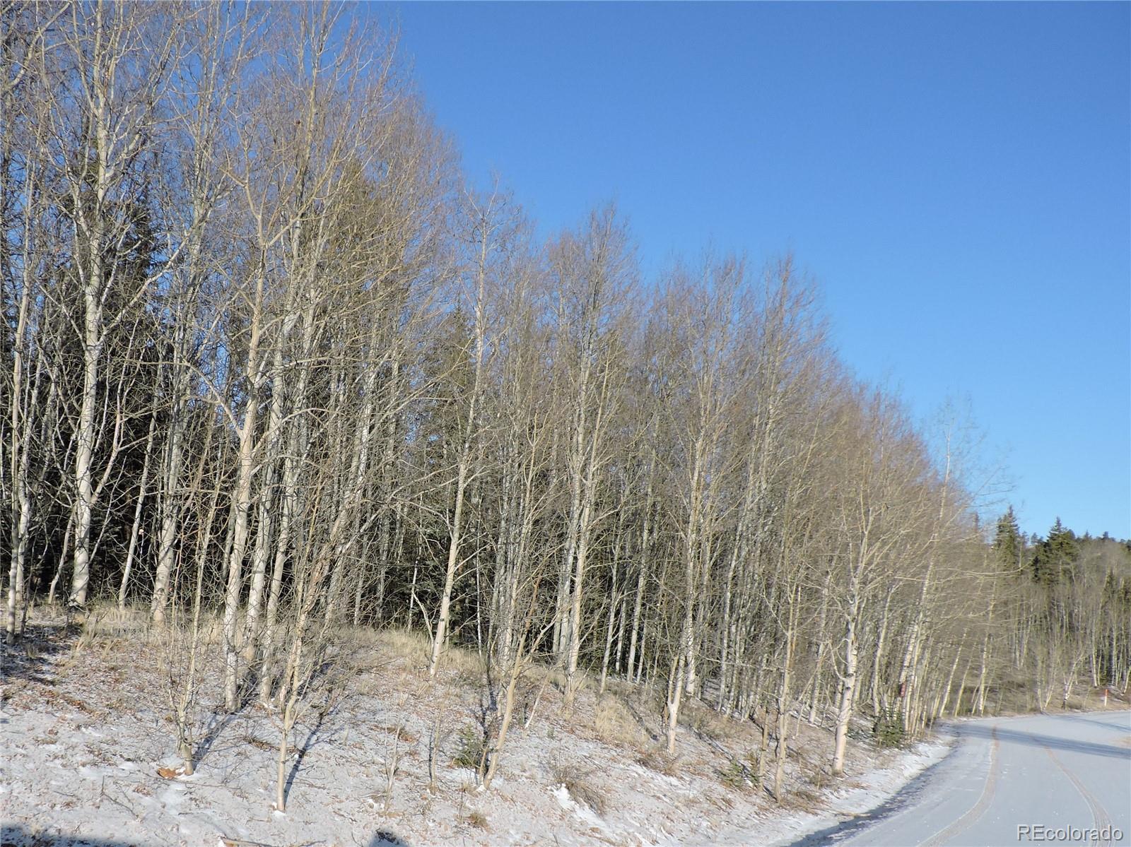 853 Pronghorn Drive Como, CO 80432 - Photo 2 of 9