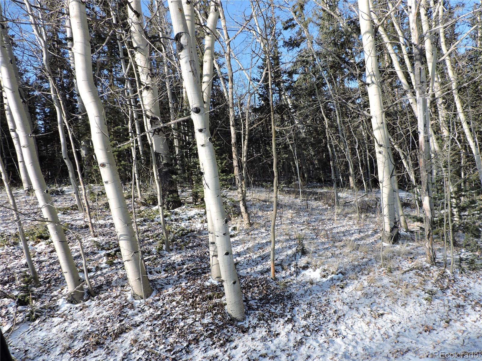 853 Pronghorn Drive Como, CO 80432 - Photo 3 of 9