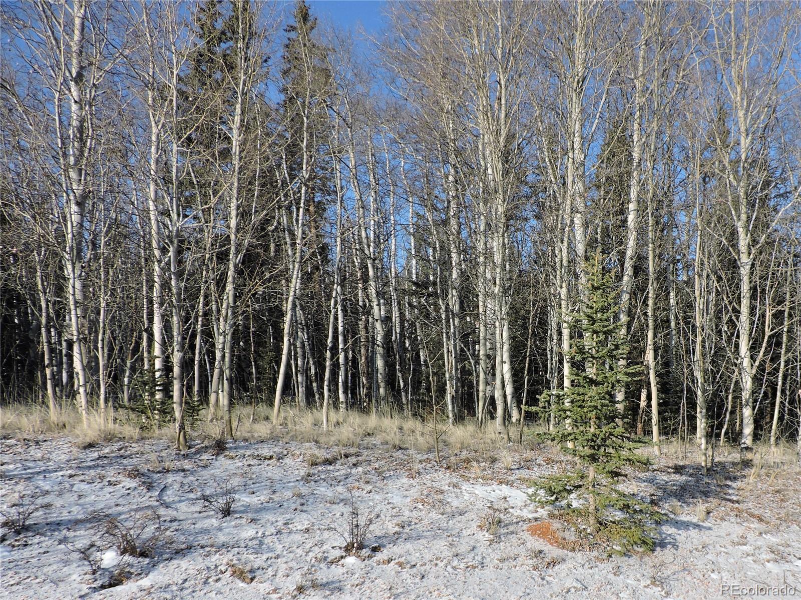 853 Pronghorn Drive Como, CO 80432 - Photo 5 of 9