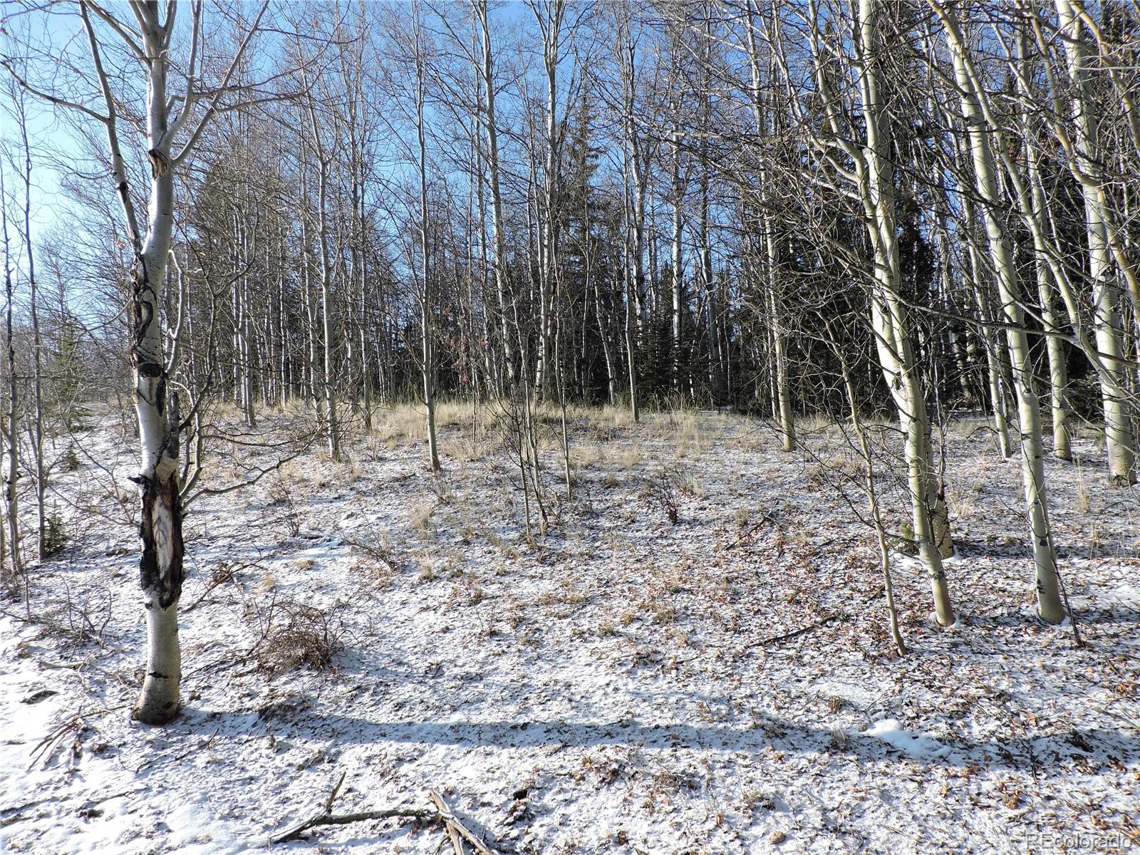 853 Pronghorn Drive Como, CO 80432 - Photo 7 of 9