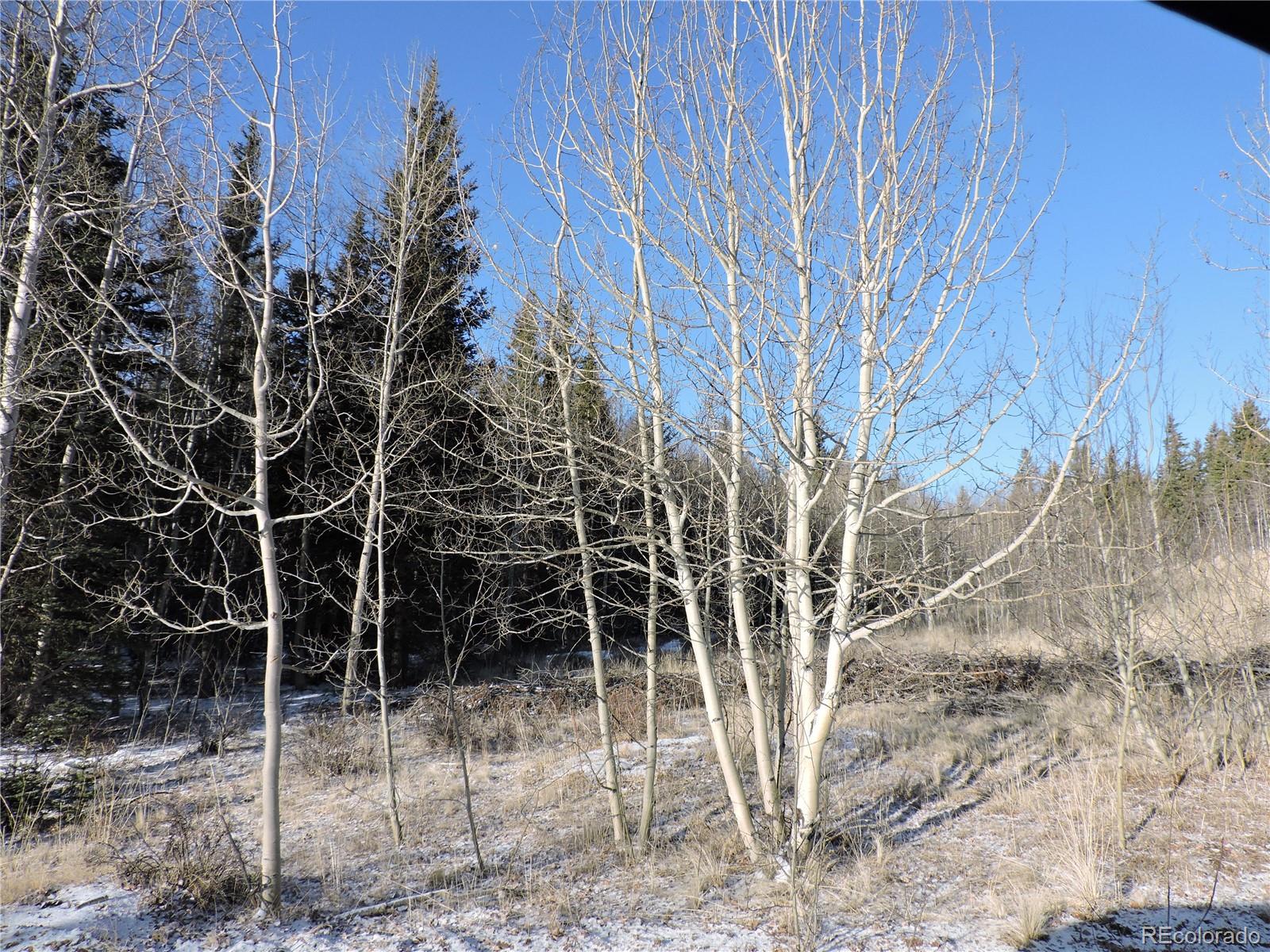 853 Pronghorn Drive Como, CO 80432 - Photo 8 of 9