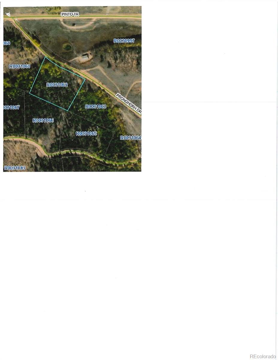 853 Pronghorn Drive Como, CO 80432 - Photo 9 of 9