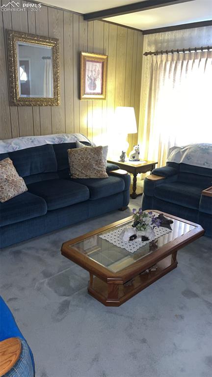 1041 Florence Avenue Colorado Springs, CO 80905 - Photo 11 of 27 Living room featuring wood walls, beamed ceiling, and carpet floors