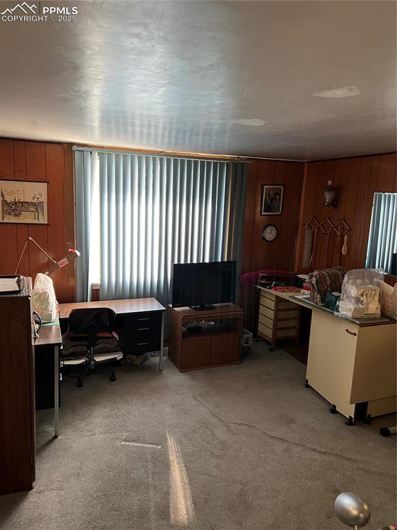 1041 Florence Avenue Colorado Springs, CO 80905 - Photo 26 of 27