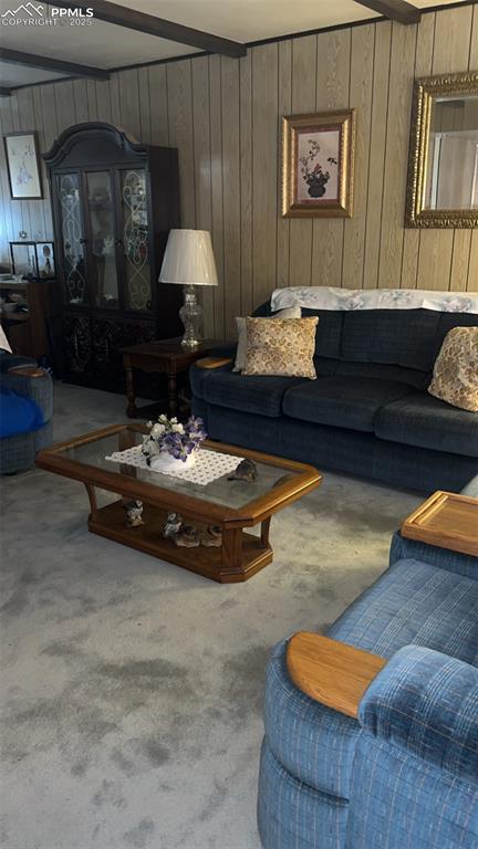 1041 Florence Avenue Colorado Springs, CO 80905 - Photo 9 of 27 Carpeted living area with beamed ceiling and wooden walls