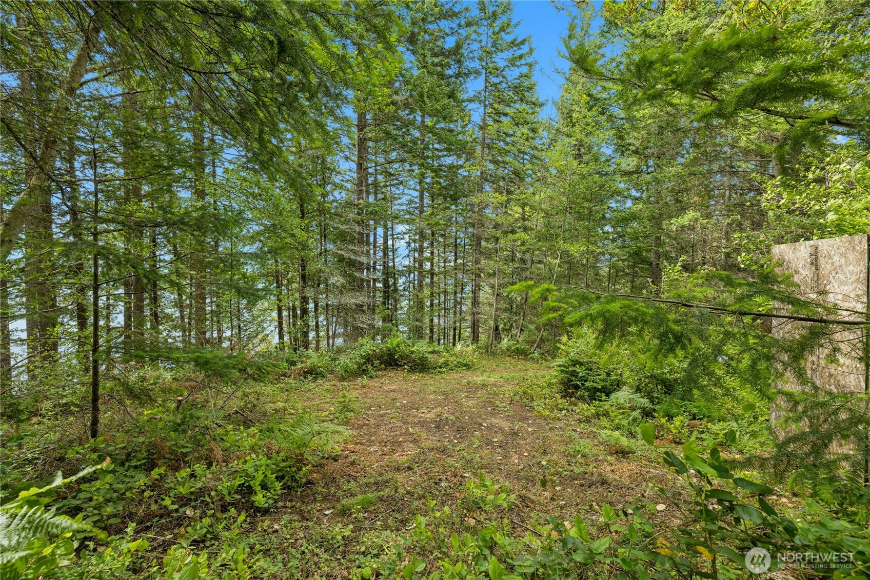 0 K-tract 9 Mcdonald Road Quilcene, WA 98376 - Photo 11 of 31