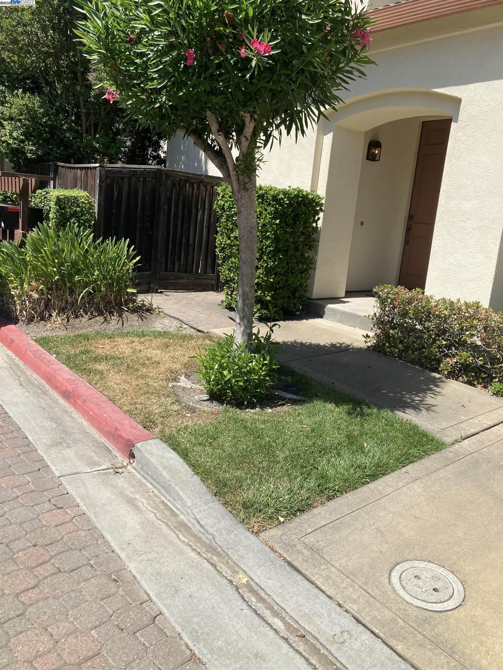a view of a backyard with plants and tree